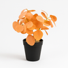 Artificial Orange Eucalyptus Plant in Black Pot