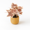 Artificial Ivy Leaf Plant in Rustic Yellow Pot