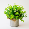 Artificial Eucalyptus-Style Plant in Rustic Metal Pot