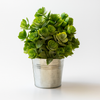 Artificial Succulent Bouquet in Silver Tin Pot