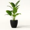 Tall Artificial Banana Leaf Plant in Black Geometric Pot