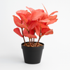 Artificial Pink Leaf Plant