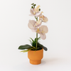 Elegant Artificial Orchid in Terracotta Pot