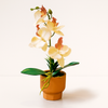 Elegant Artificial Orchid in Terracotta Pot