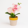 Mini Artificial Pink Orchid