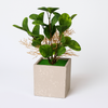 Artificial Green Foliage Plant