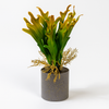 Artificial Staghorn Fern
