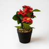 Artificial Red Blossom Flower Pot