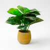 Artificial Variegated Leaf Plant