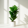 Tropical Monstera Leaf – Faux Plant in White Pot