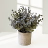 Dusty Silver Dollar Eucalyptus – Faux Plant in Stone Pot