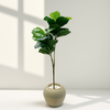 Artificial Fiddle Leaf Fig in Beige Round Pot