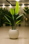 Artificial Tropical Plant in White Ribbed Pot